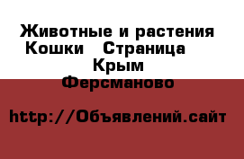 Животные и растения Кошки - Страница 7 . Крым,Ферсманово